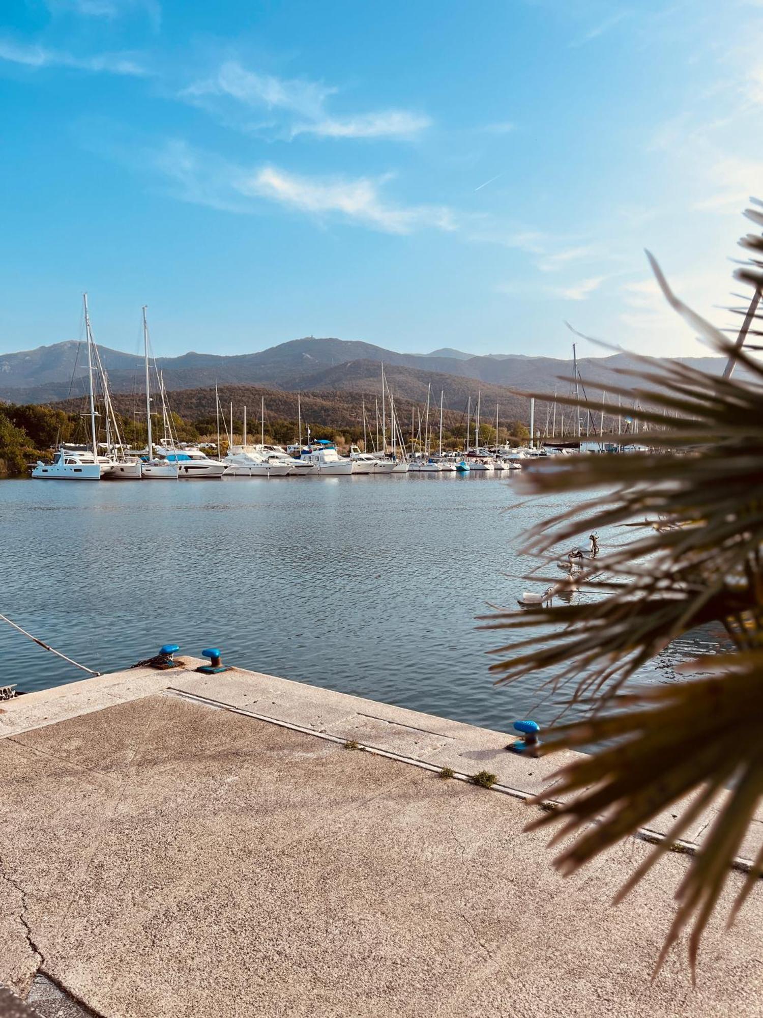 Hotel Le Nid Argelès-sur-Mer Dış mekan fotoğraf