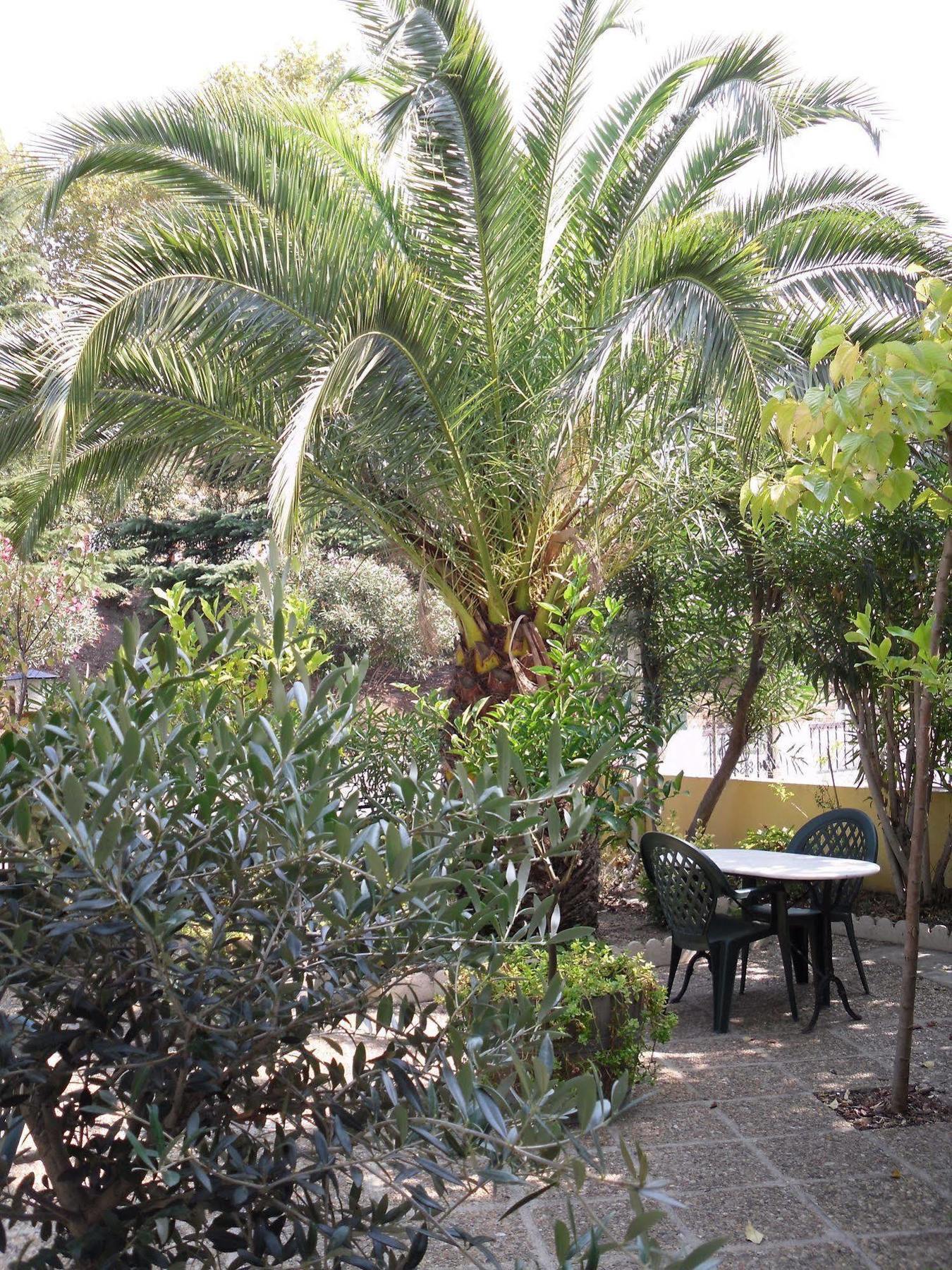 Hotel Le Nid Argelès-sur-Mer Dış mekan fotoğraf