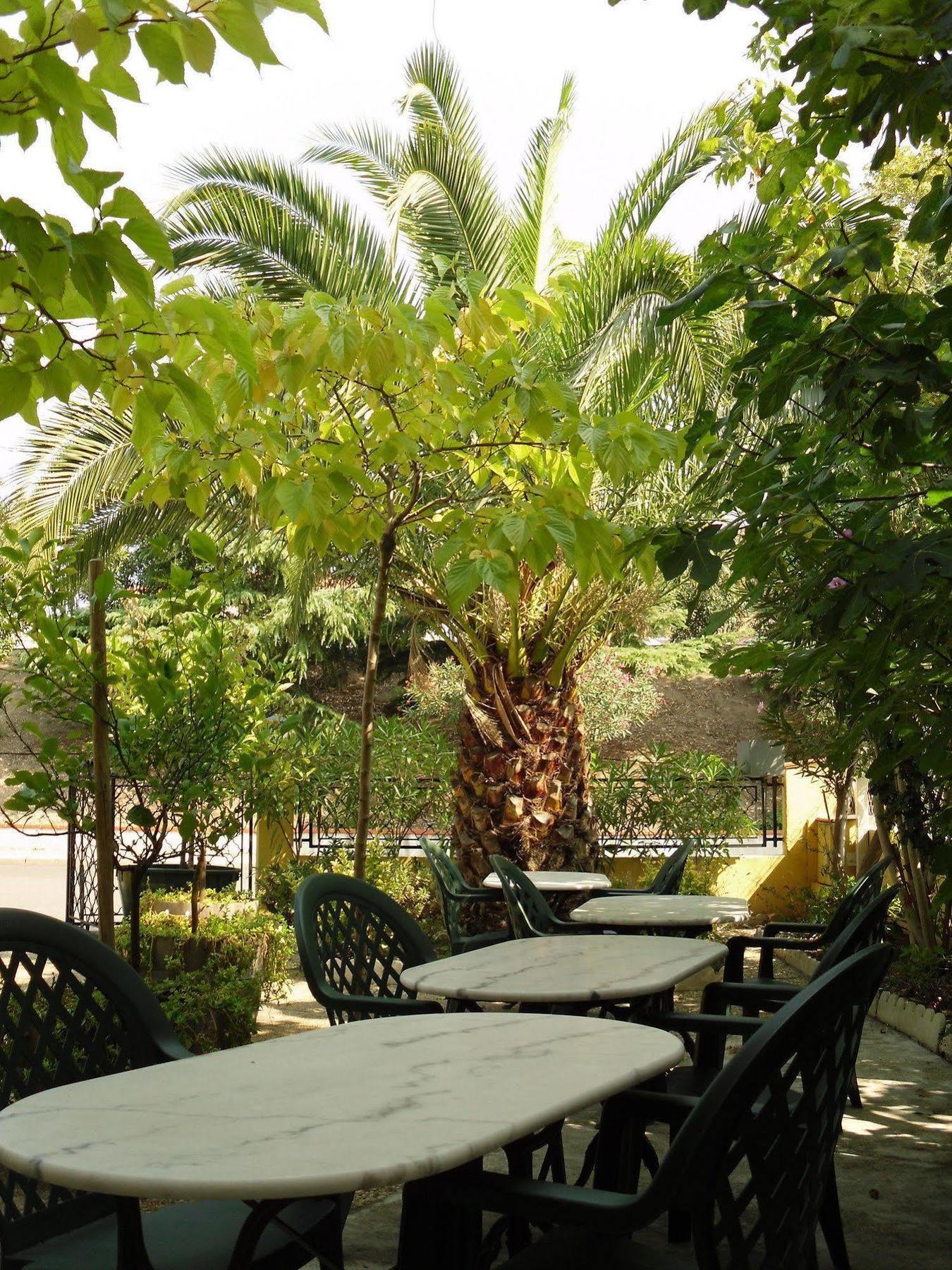 Hotel Le Nid Argelès-sur-Mer Dış mekan fotoğraf